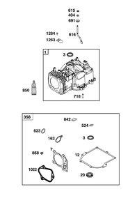 Cylinder Group Diagram and Parts List for 09P70B-0284-H5 020000 - 09Z999 Briggs and Stratton Engine